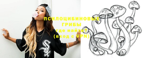 стафф Горняк