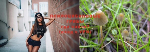 стафф Горняк