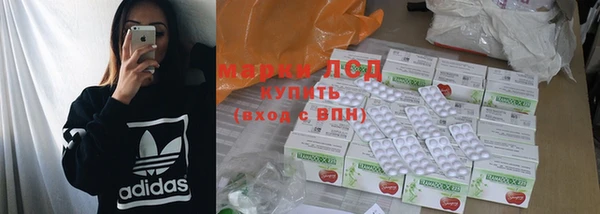 мдпв Горнозаводск