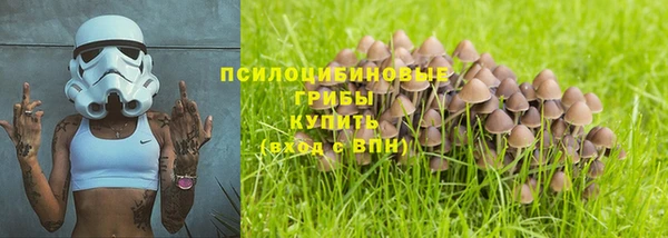 мдпв Горнозаводск