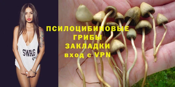 мдпв Горнозаводск
