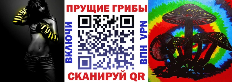 Купить где  Чаплыгин  Галлюциногенные грибы мицелий 